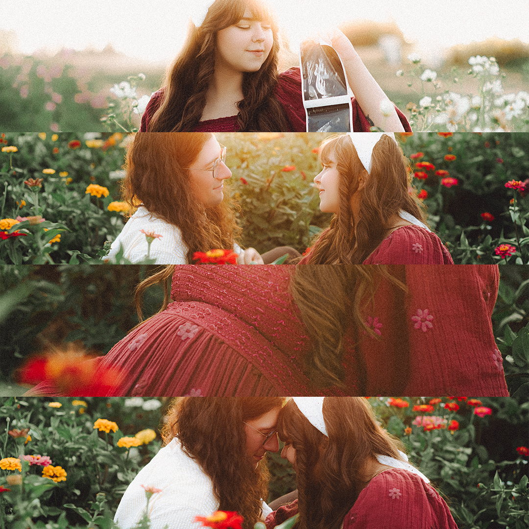 Lovestory Pregnancy Announcement Among the Sunflowers of the Wooden Shoe Tulip Farm